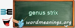 WordMeaning blackboard for genus strix